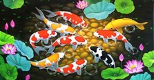 Tranh cá chép có ý nghĩa gì, hợp với tuổi nào? 10+ Tranh cá chép phong thủy đẹp