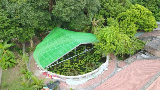 Chùa Bà Đanh Chùa Bà Đanh