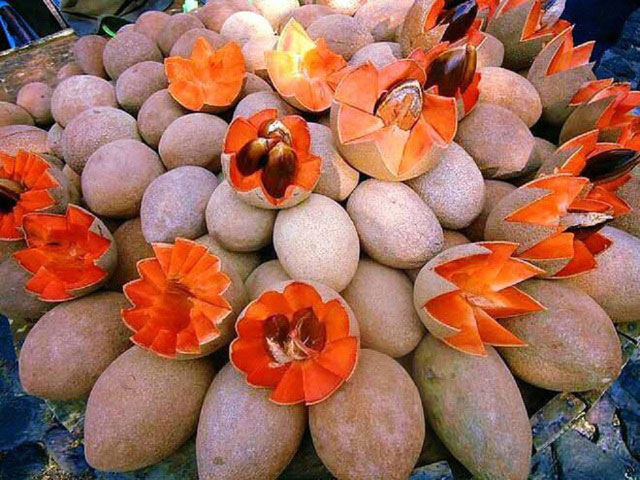 Hồng xiêm ruột đỏ