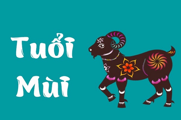 Vận hạn tuổi Ất Mùi năm 2024: Tuổi Ất Mùi năm 2024 sao gì chiếu mạng?
