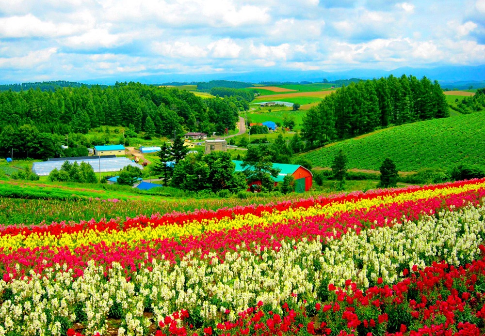 Ảnh thiên nhiên đẹp 3D Ảnh thiên nhiên đẹp 3D