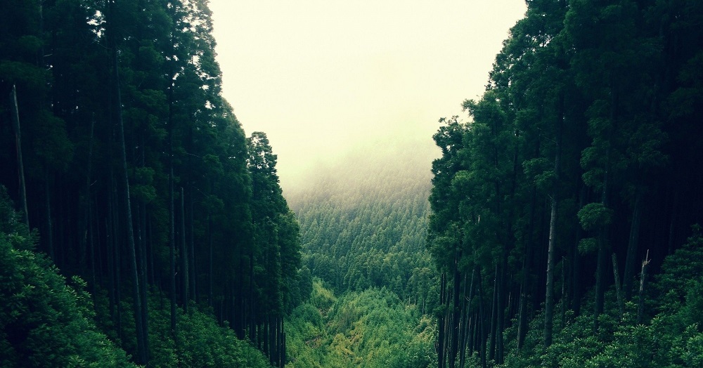 Ảnh thiên nhiên 4K đẹp nhất Ảnh thiên nhiên 4K đẹp nhất