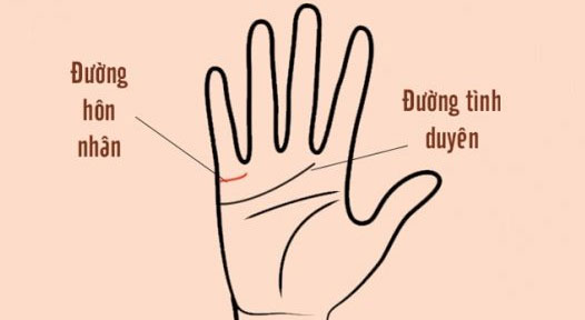 Đường tâm đạo Đường tâm đạo