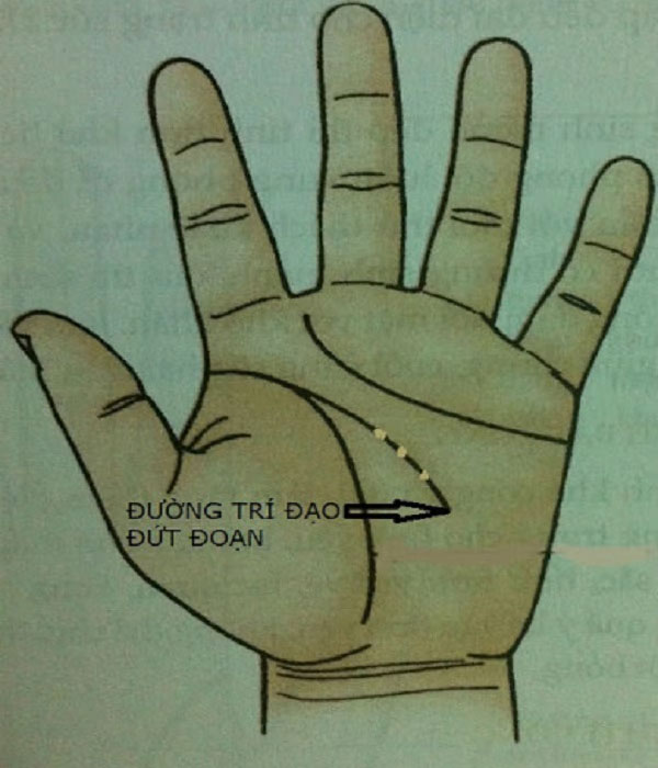 Đường trí đạo Đường trí đạo