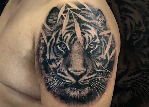 Hình xăm hổ cho nam Hình xăm hổ cho nam