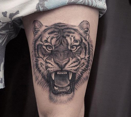 Hình xăm hổ cho nam Hình xăm hổ cho nam