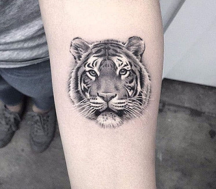 Hình xăm hổ cho nam Hình xăm hổ cho nam