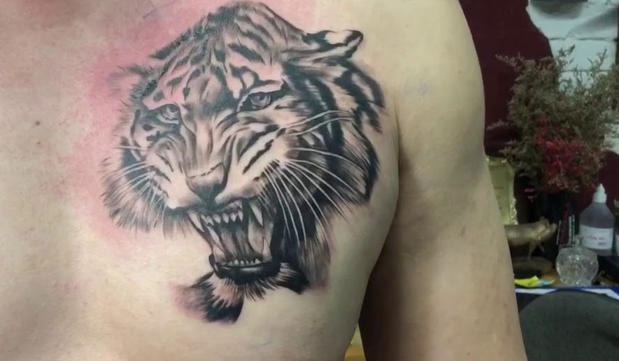 Hình xăm hổ cho nam Hình xăm hổ cho nam