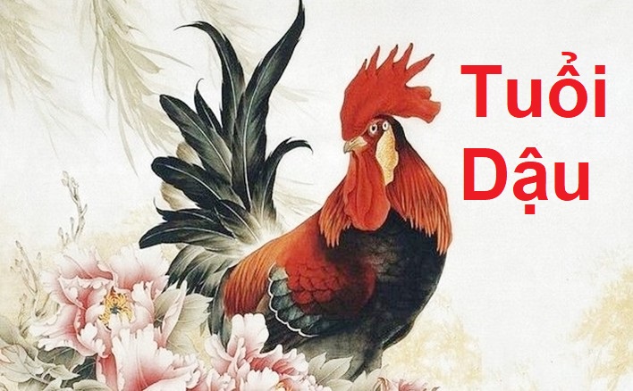 Vận hạn tuổi Ất Dậu năm 2024: Tuổi Ất Dậu năm 2024 sao gì chiếu?