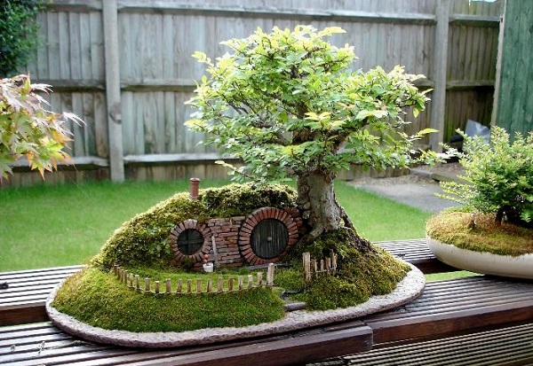 Các thế cây cảnh bonsai Các thế cây cảnh bonsai