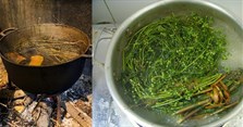 Cây mùi già là cây gì? Tắm nước lá mùi già cuối năm có tác dụng gì?