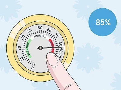 Độ ẩm là gì? Độ ẩm không khí bao nhiêu là tốt nhất cho sức khỏe?