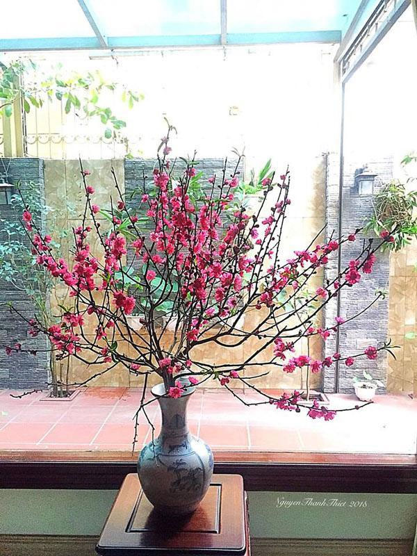 Cách cắm cành đào Cách cắm cành đào