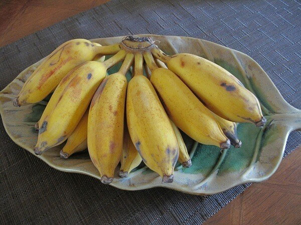 Cách chọn chuối