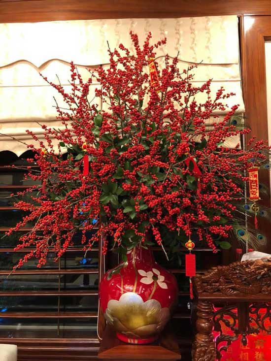 Cắm cành đào đông đẹp nhất 5 Cắm cành đào đông đẹp nhất 5