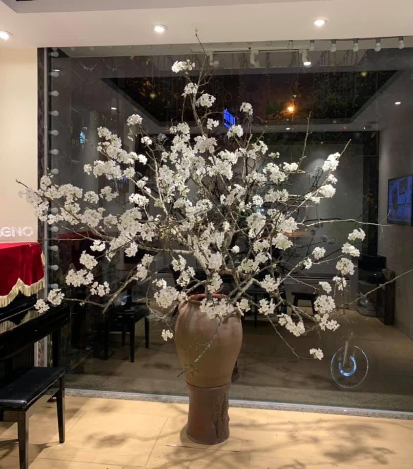 Cách cắm hoa lê đẹp