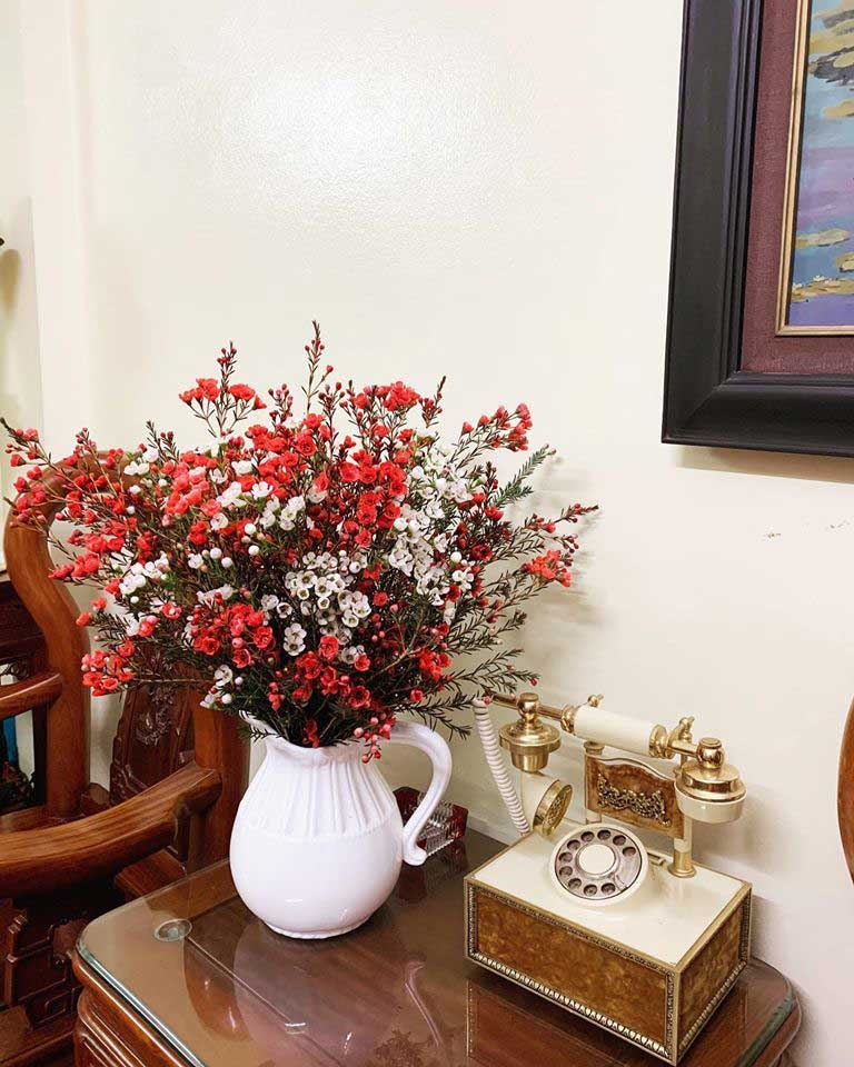 Cách cắm hoa thanh liệu đẹp nhất Cách cắm hoa thanh liệu đẹp nhất