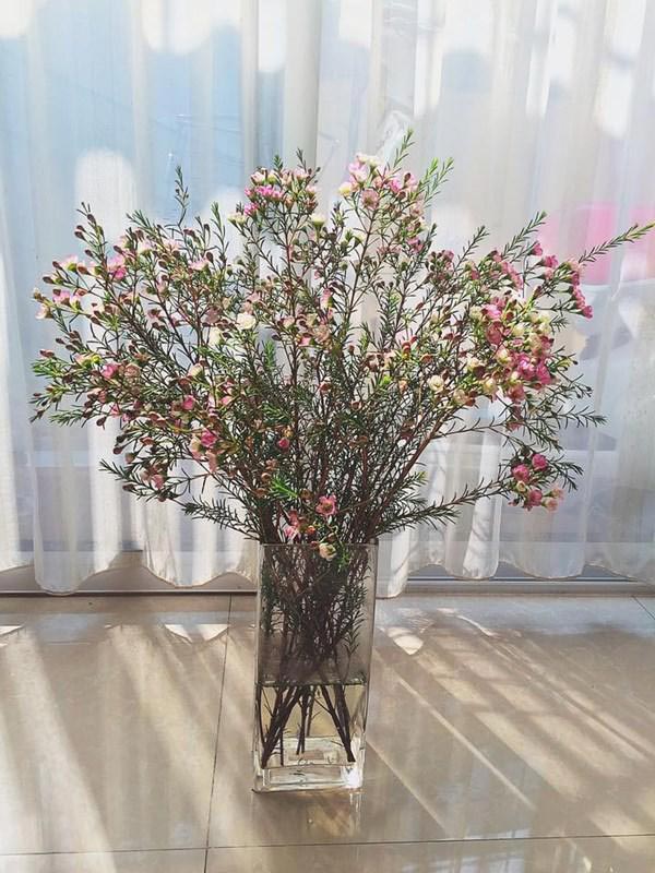 Mẫu bình cắm hoa thanh liệu đẹp 1 Mẫu bình cắm hoa thanh liệu đẹp 1