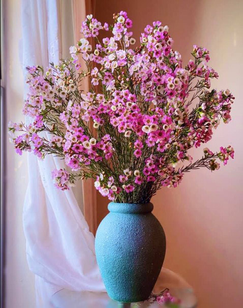 Mẫu bình cắm hoa thanh liệu đẹp 2 Mẫu bình cắm hoa thanh liệu đẹp 2