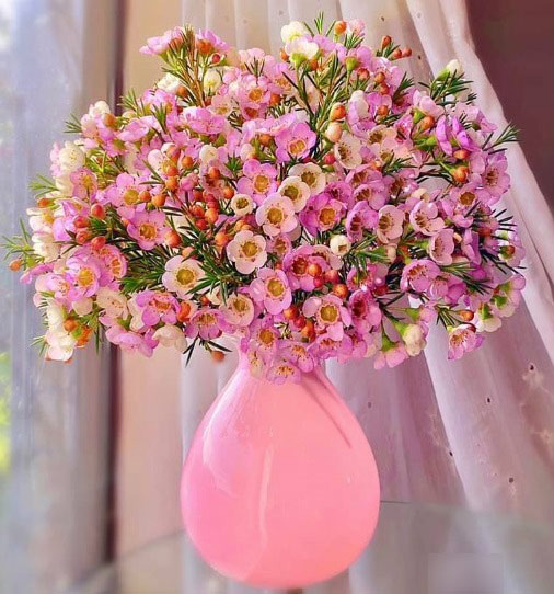 Mẫu bình cắm hoa thanh liệu đẹp 3 Mẫu bình cắm hoa thanh liệu đẹp 3