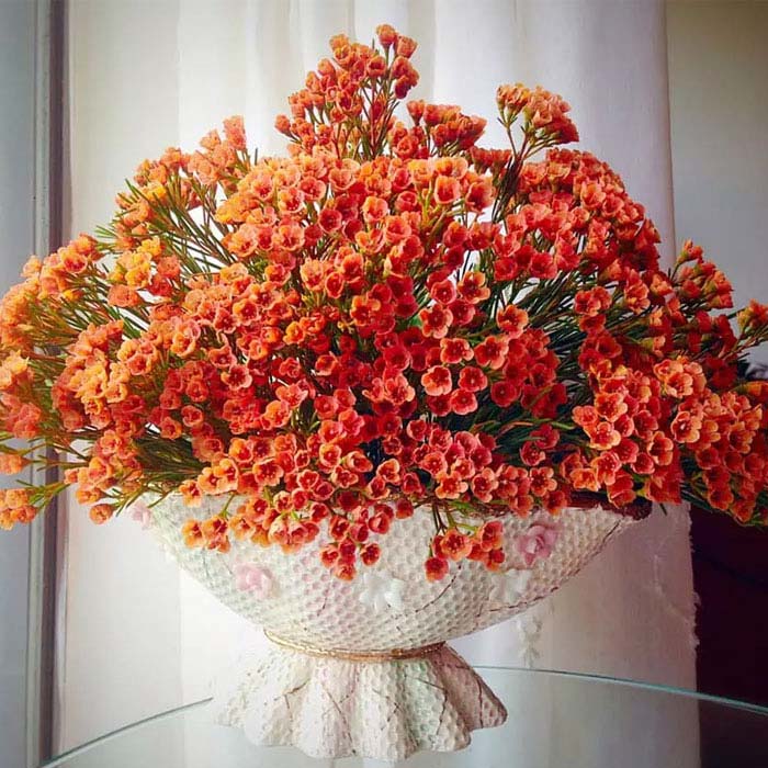 Mẫu bình cắm hoa thanh liệu đẹp 7 Mẫu bình cắm hoa thanh liệu đẹp 7