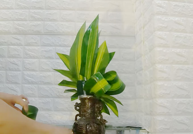 Cách cắm hoa lay ơn và hoa hồng Cách cắm hoa lay ơn và hoa hồng