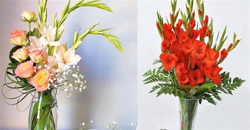 Hướng dẫn cắm hoa lay ơn và hoa hoa hồng đẹp, đơn giản chưng Tết