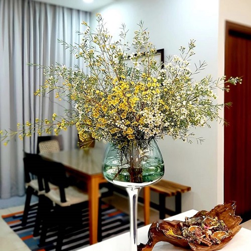 Hình ảnh hoa thanh liễu đẹp Hình ảnh hoa thanh liễu đẹp