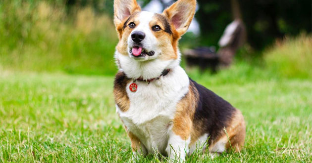 Chọn tuổi xông nhà cho tuổi Nhâm Tuất năm 2024