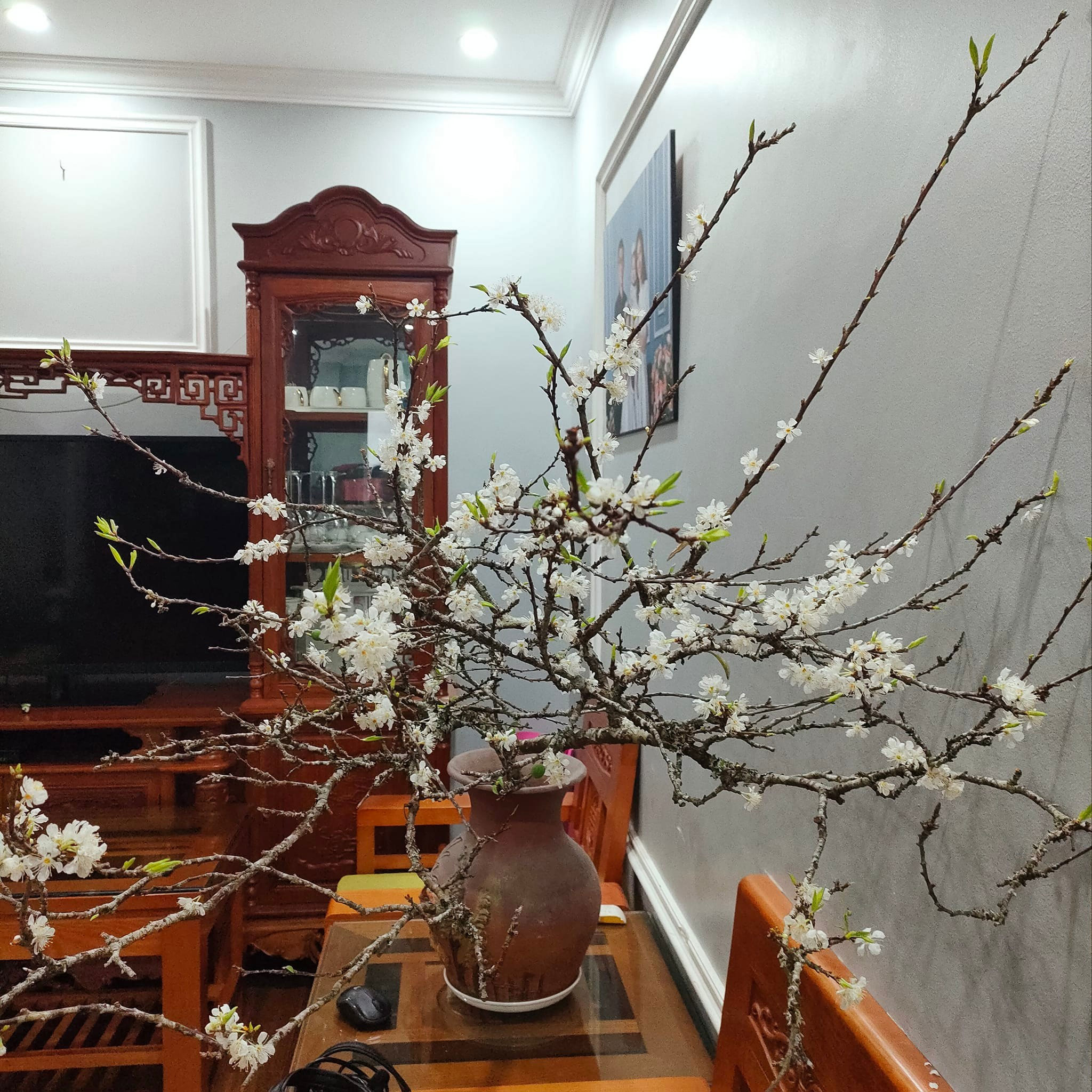 Cách cắm hoa mận