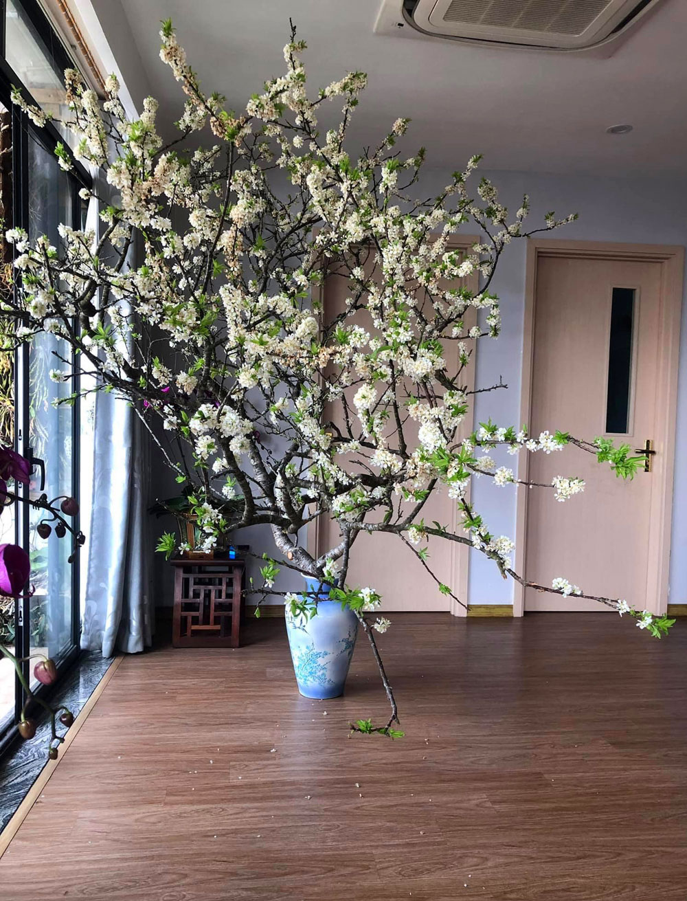 Cách cắm hoa mận