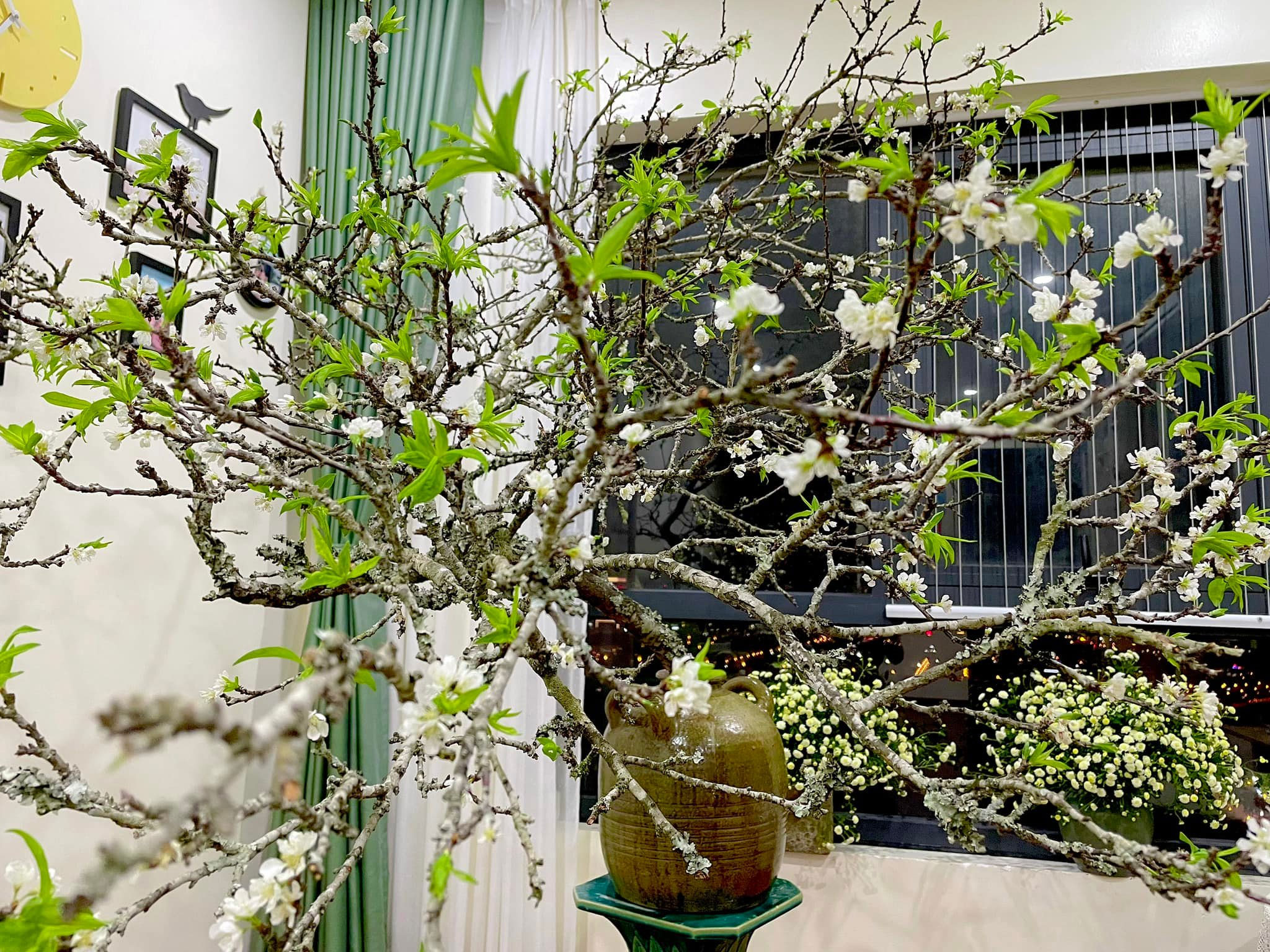 Cách cắm hoa mận