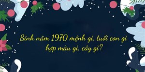 Sinh năm 1970 mệnh gì, tuổi con gì, hợp màu gì, cây gì?