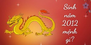 2012 mệnh gì, là năm con gì, cung gì, hợp màu gì?