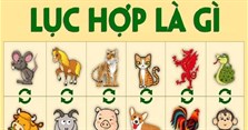 Lục hợp là gì? Các tuổi lục hợp 12 con giáp