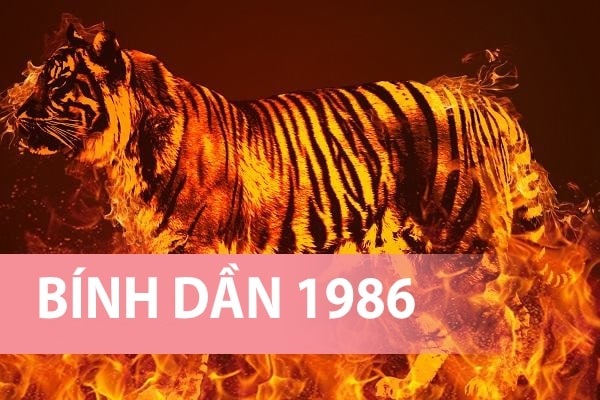 Ngày tốt khai trương năm 2024 của tuổi Bính Dần 1986
