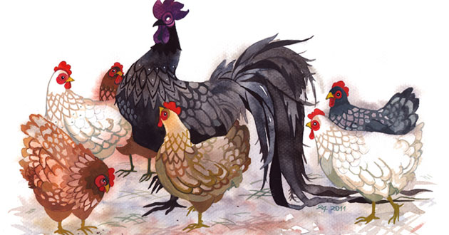 Tuổi Đinh Dậu 1957 khai trương ngày nào đẹp?