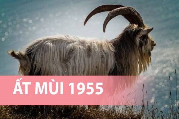 Tuổi Ất Mùi 1955 khai trương ngày nào tốt năm 2024?