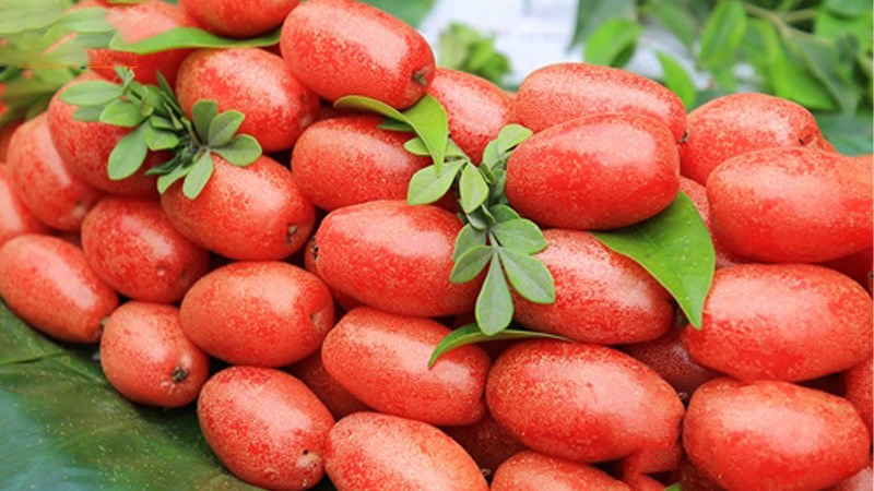 Hình ảnh trái nhót đẹp nhất Hình ảnh trái nhót đẹp nhất