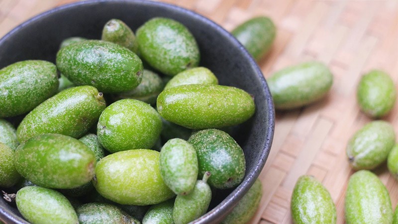 Hình ảnh trái nhót đẹp nhất Hình ảnh trái nhót đẹp nhất