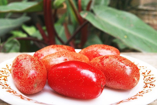 Hình ảnh trái nhót đẹp nhất Hình ảnh trái nhót đẹp nhất