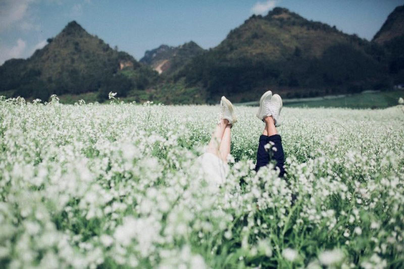 Tìm hiểu mùa đông có hoa gì Tìm hiểu mùa đông có hoa gì