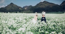 Mùa đông thường có hoa gì? Các loại hoa đặc trưng của mùa đông