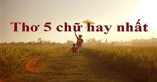 Thơ 5 chữ ngắn hay về mọi chủ đề