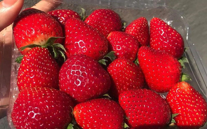 Hình ảnh quả dâu tây 3