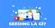 Seeding là gì? Cách seeding hiệu quả nhất trong Marketing