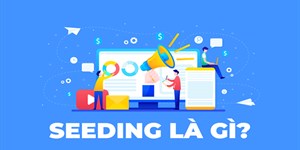 Seeding là gì? Cách seeding hiệu quả nhất trong Marketing