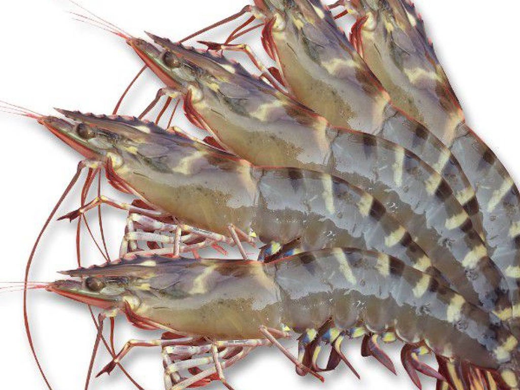 Cách làm tôm sống sốt Thái đơn giản