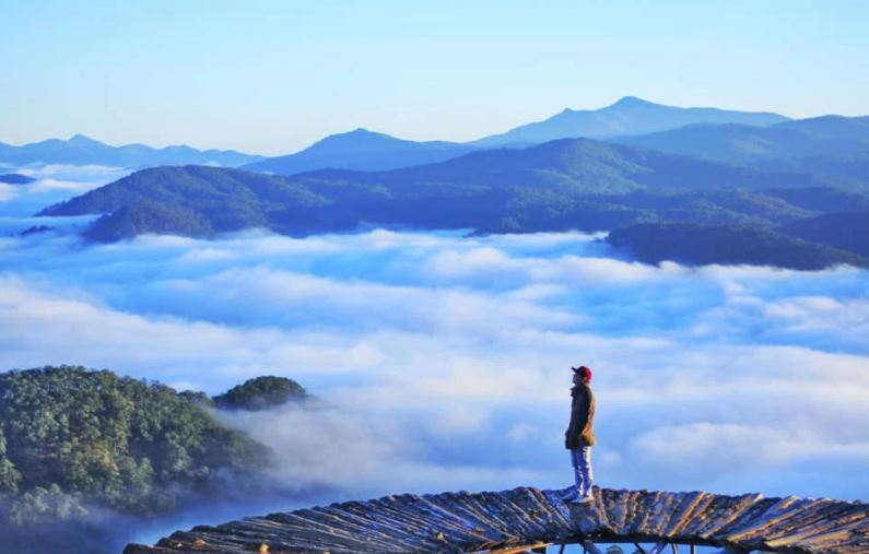 Cầu gỗ săn mây Đà Lạt