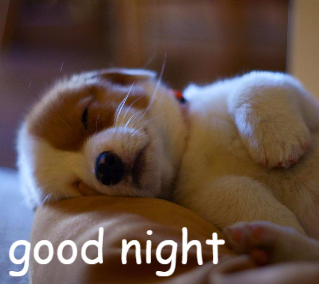 Hình ảnh chúc ngủ ngon đẹp, dễ thương 13